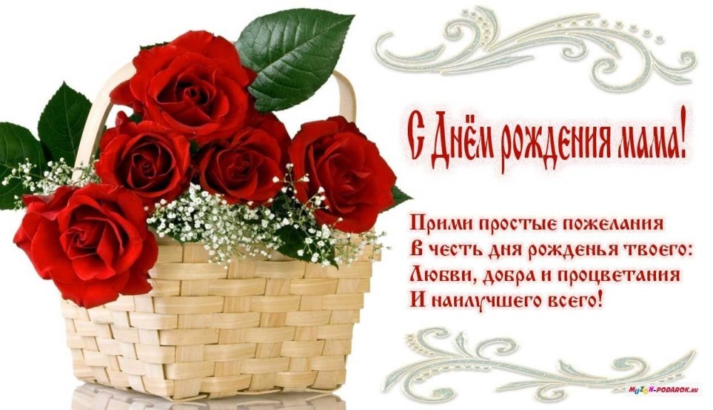 С днём рождения Лаура