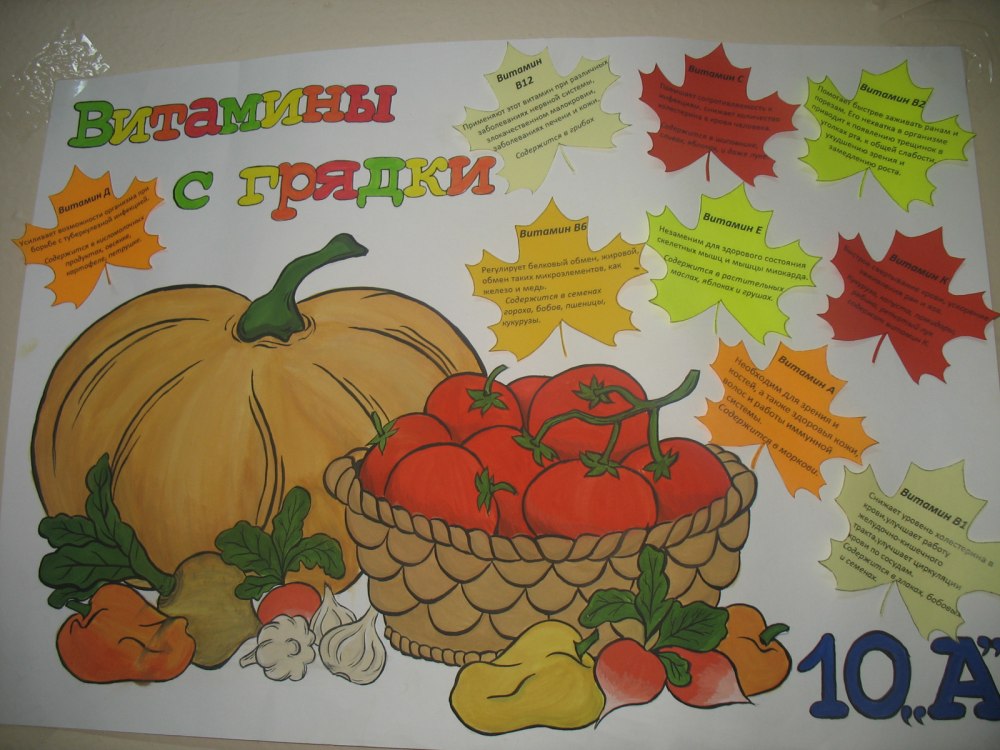 Здоровое питание рисунок