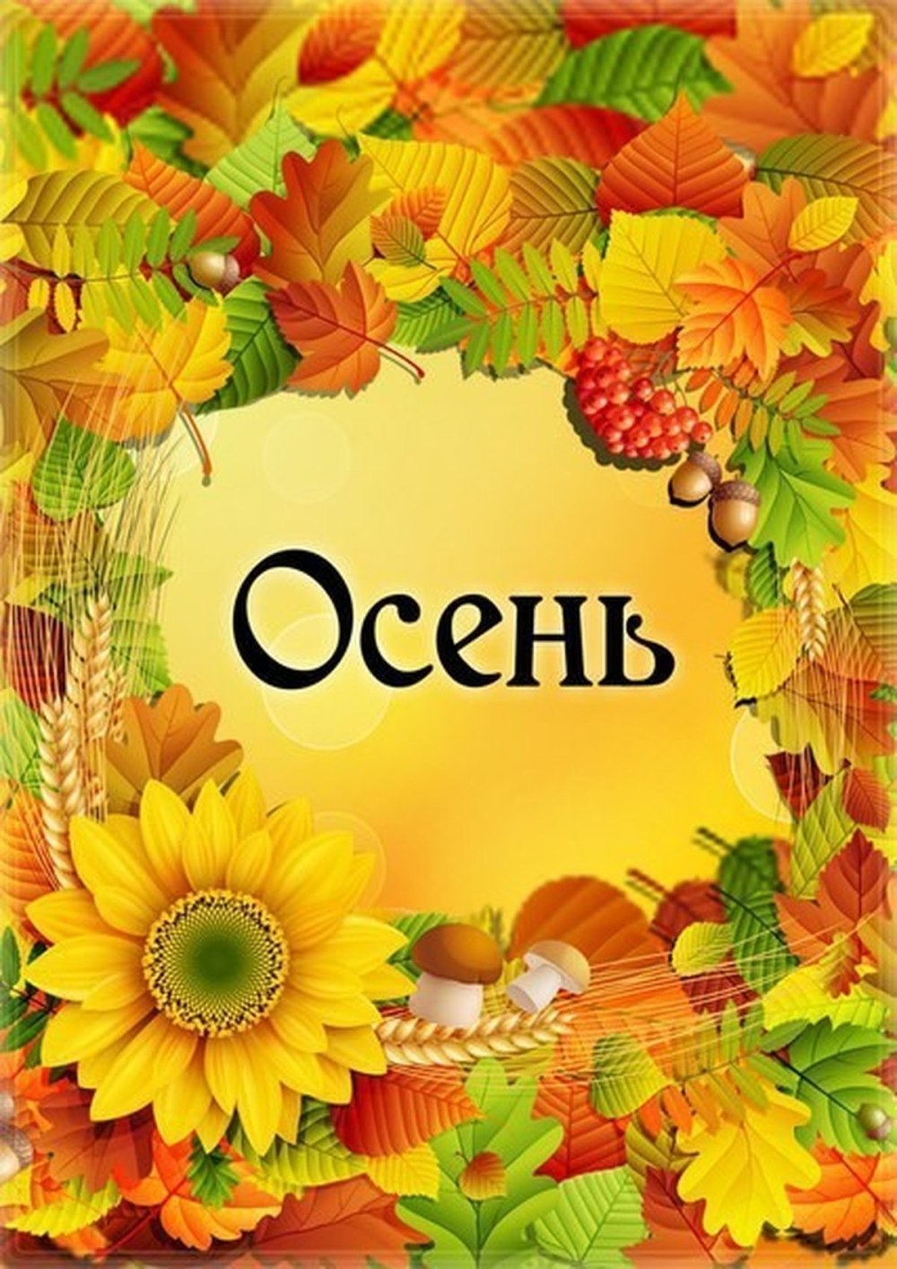 Осенний стенд в библиотеке