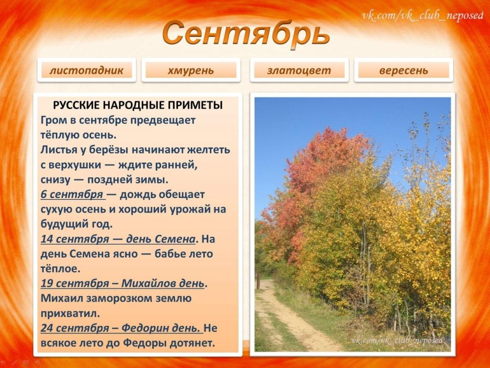 Растяжка гирлянда с днем знаний