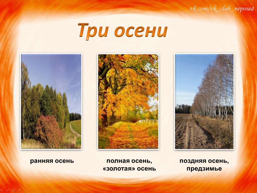Украшение стены в классе