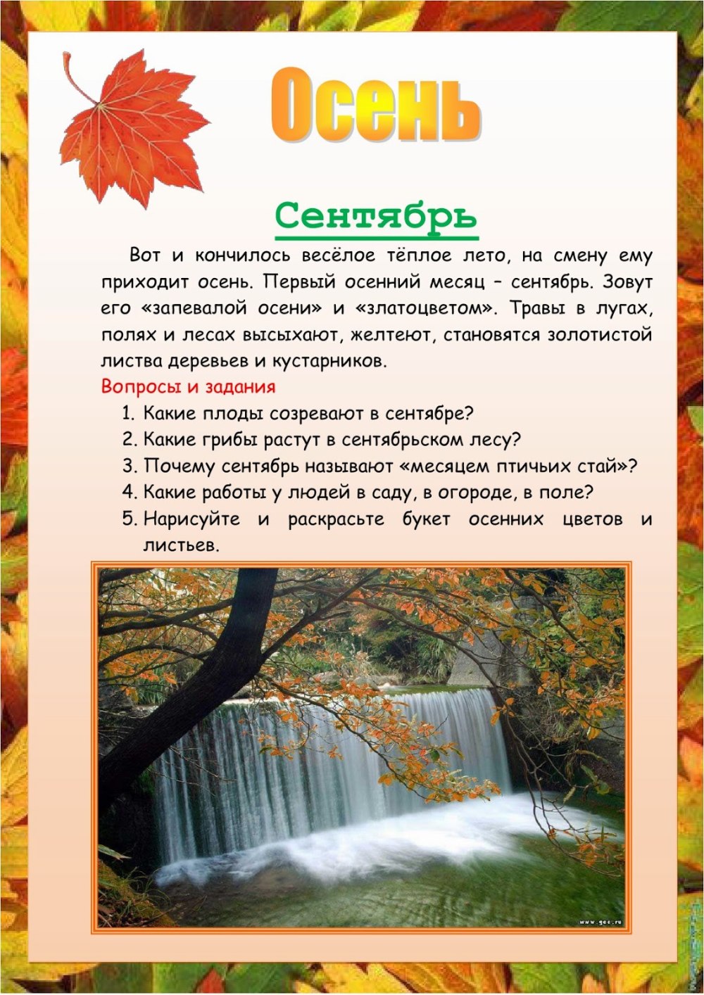 Растяжка день знаний