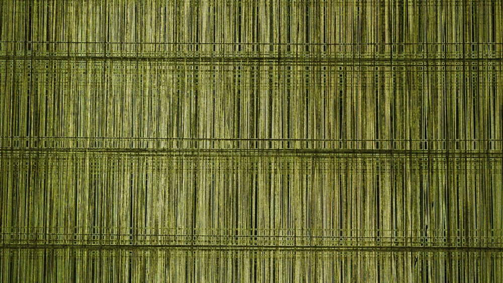 Pantone 13-0535 Sharp Green