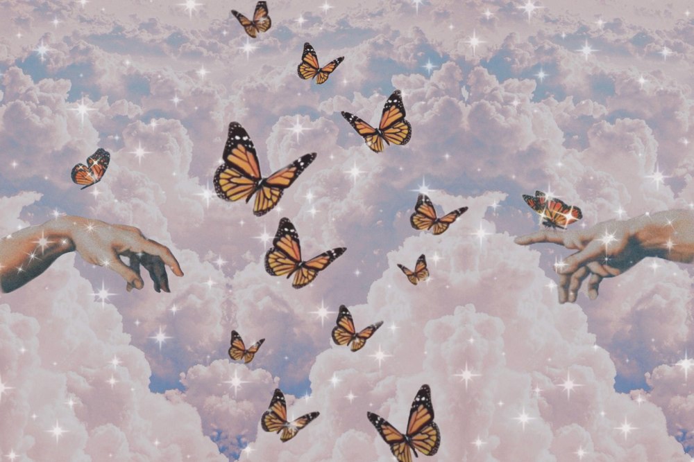 Боярышница (Aporia crataegi)