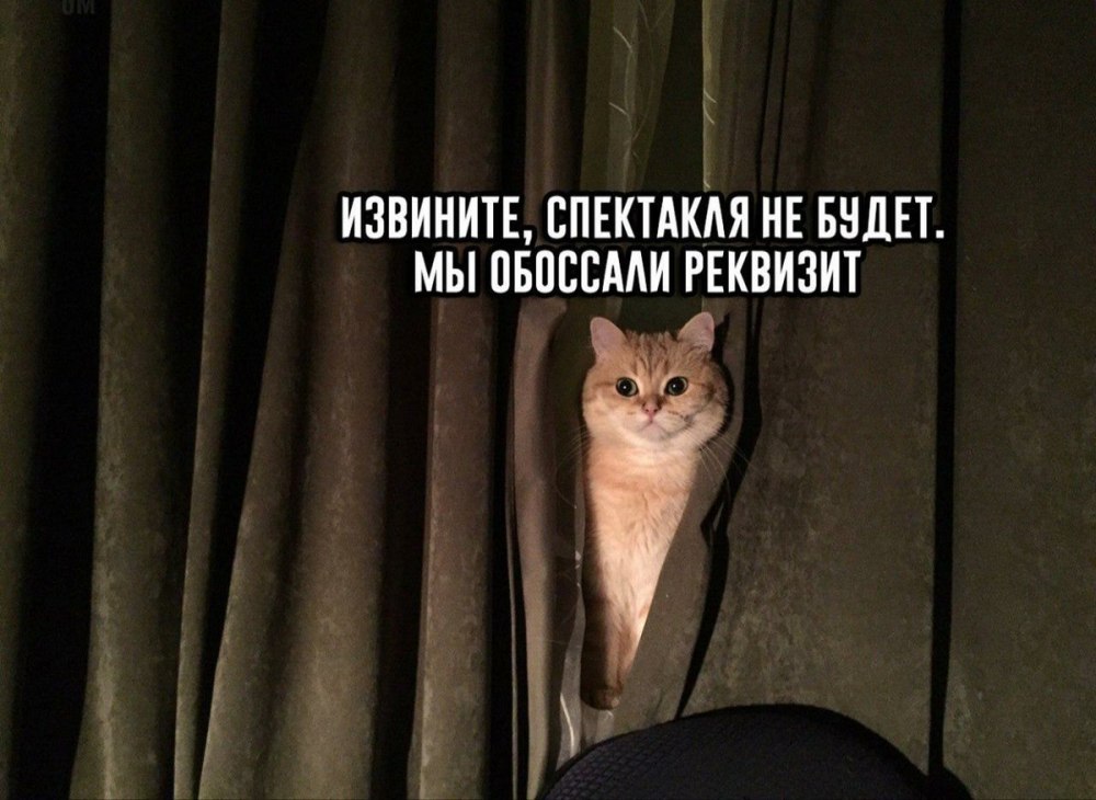 Спокойной ночи солнышко