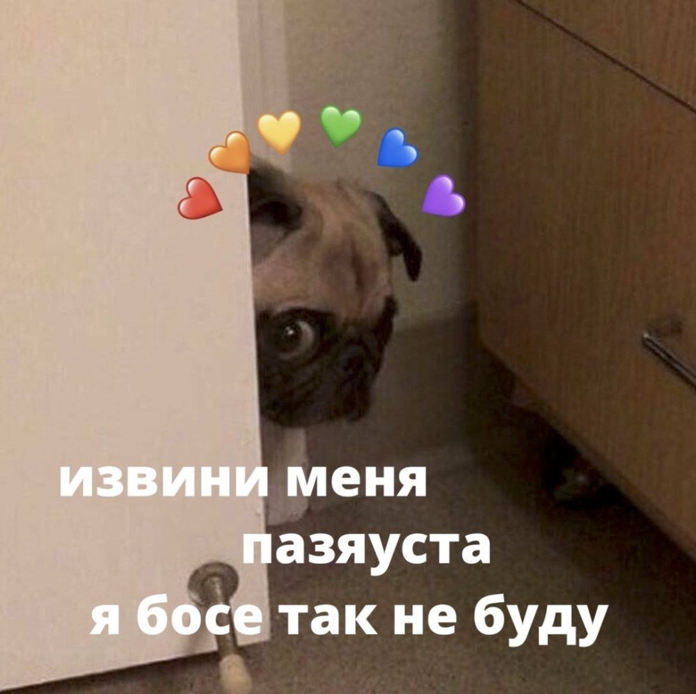 Милые пикчи прости