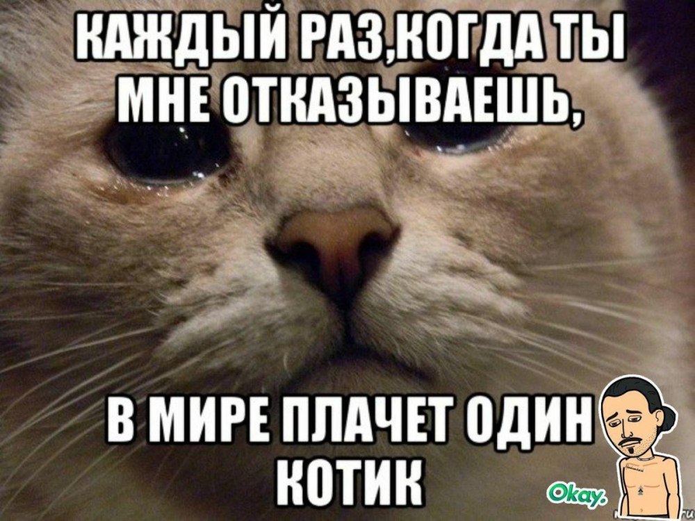 Когда ты не пишешь в мире грустит один котик