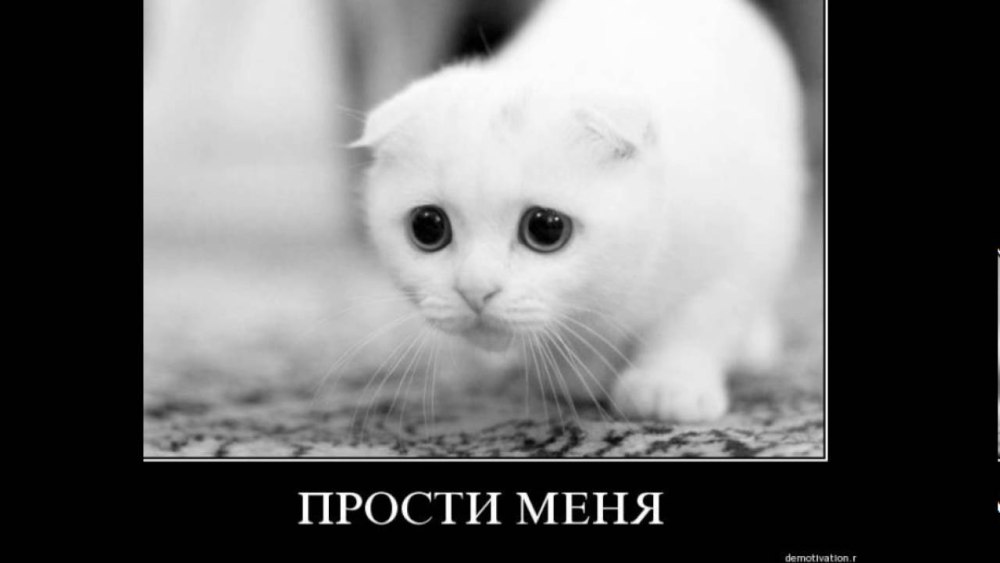 Пикчи для извинений