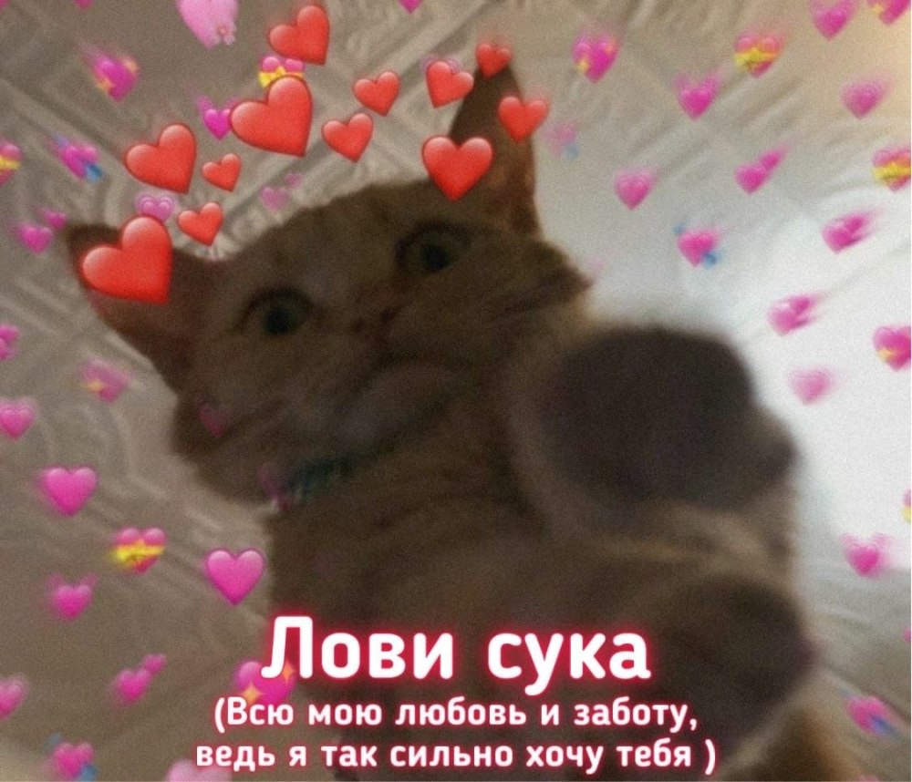 Ты самая красивая!