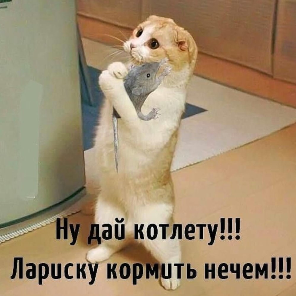 Прости меня