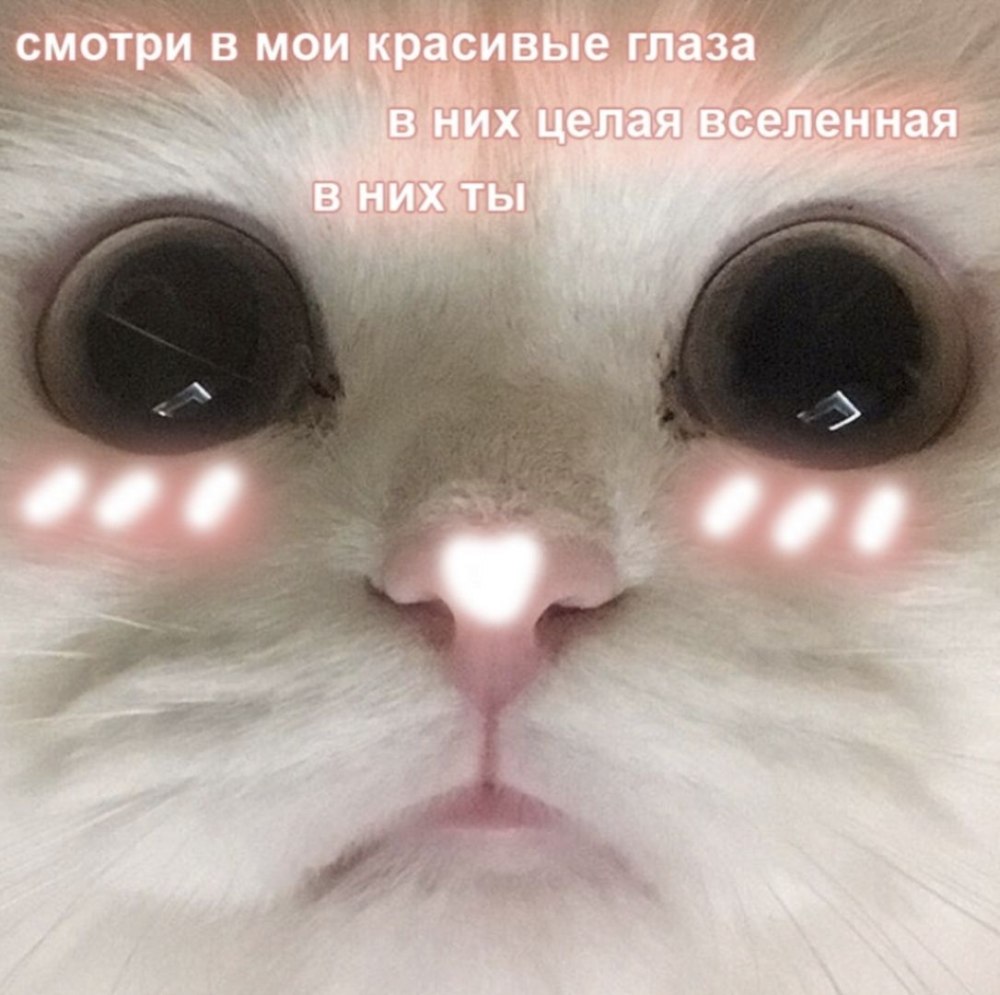 Фрай Футурама