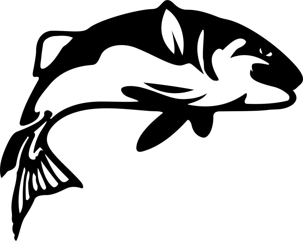 Мультяшные рыбки