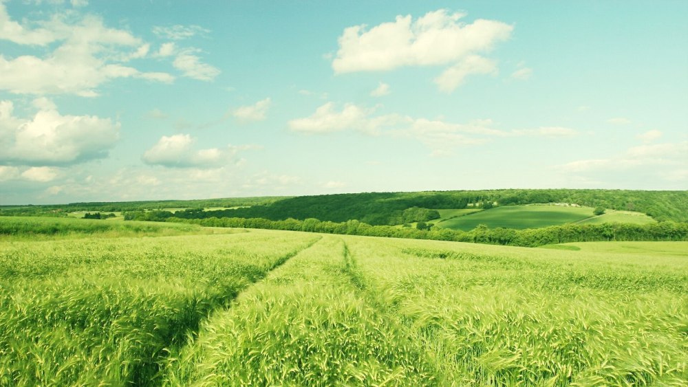 Зелёные просторы (Green acres)