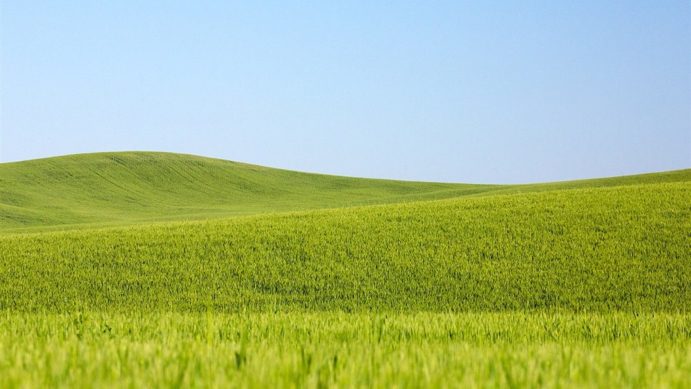 Зеленая степь