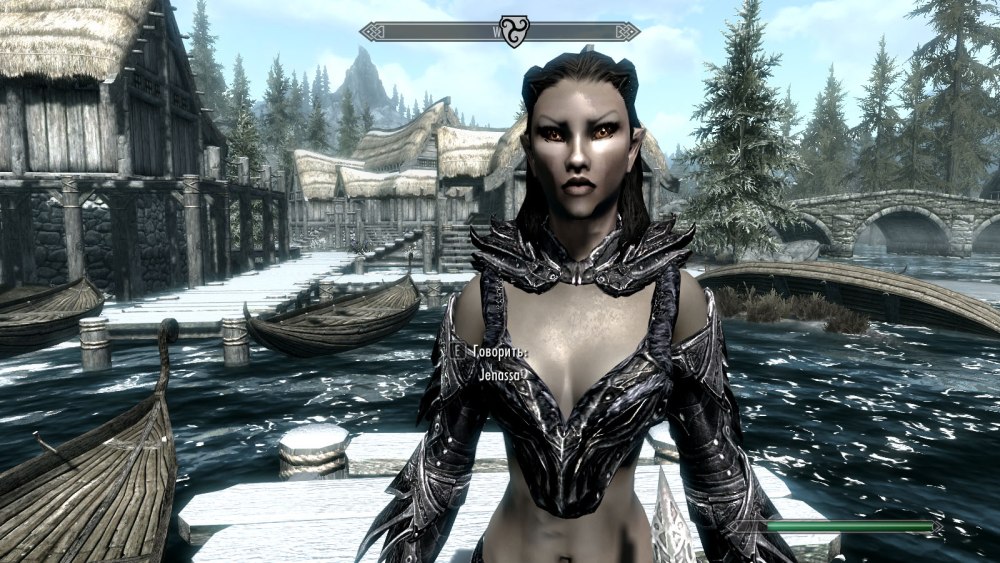 Skyrim Дженасса