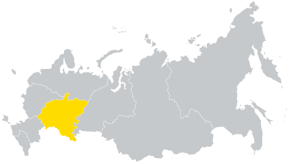 Карта России вектор