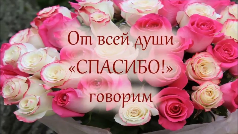Спасибо за поздравления