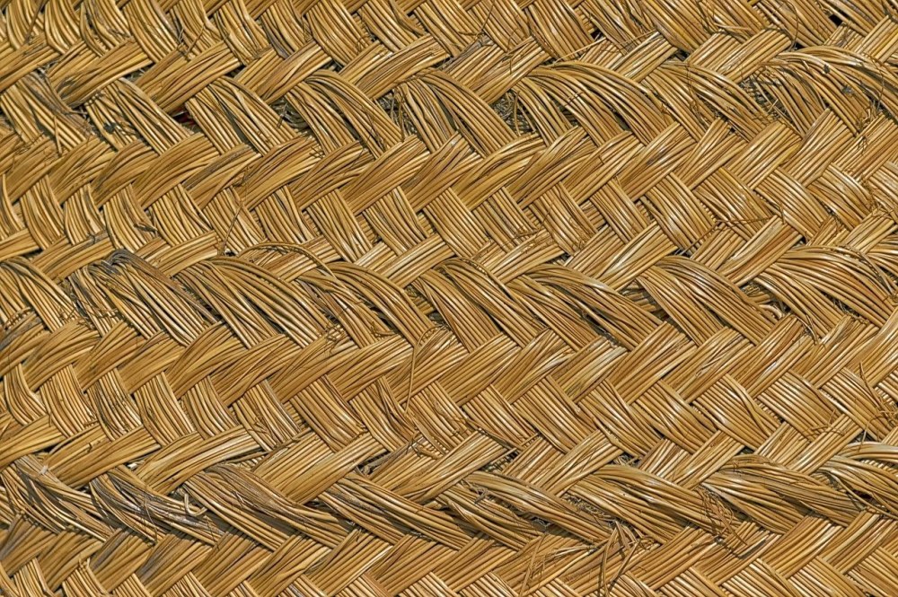 Bolon Sisal Plain Beige