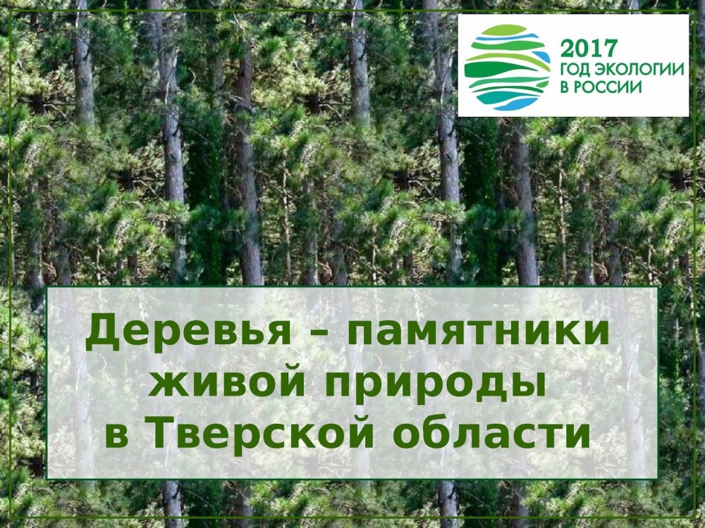 Реки Тверской области 4 класс
