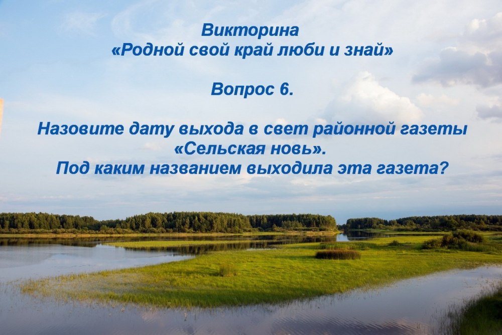 Березовая роща река озеро
