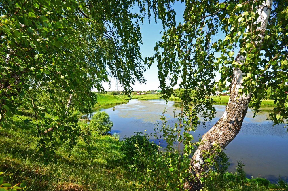 Река Кашинка Тверская область Тверская область