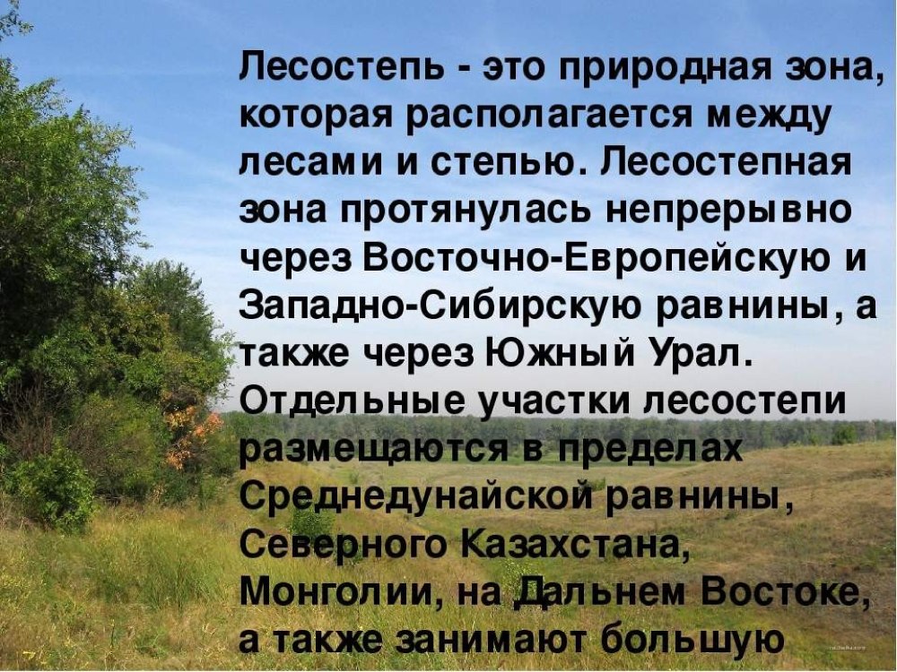Карта районов Тверской области с районами