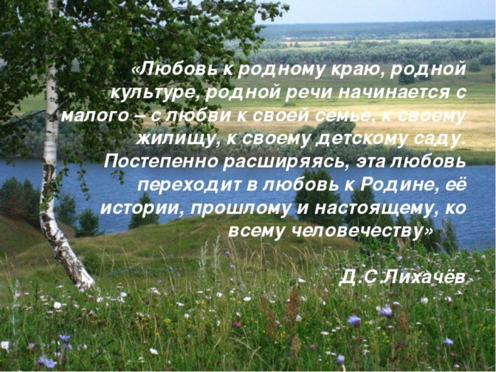 Лекарственные растения Тамбовской области