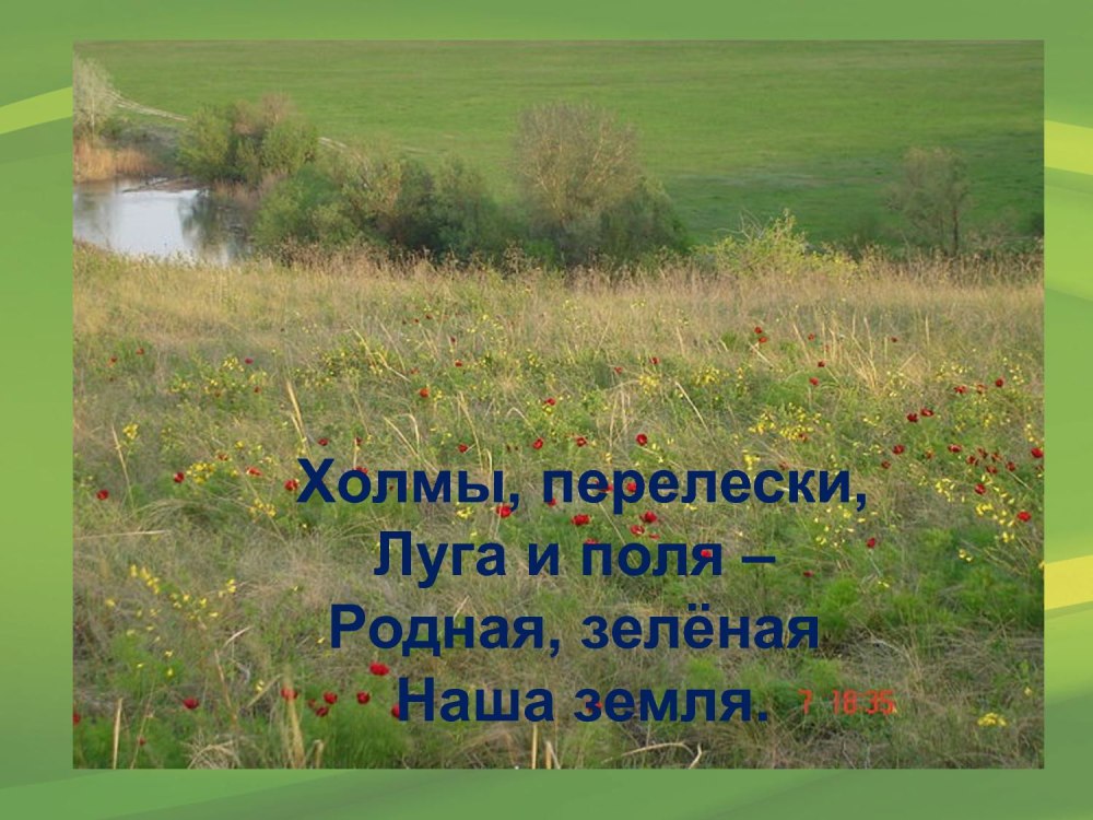 Разнообразие природы Ростовской области