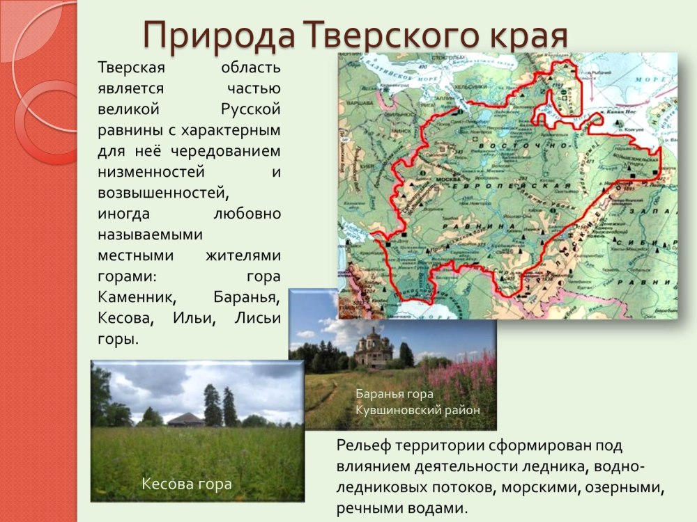 Рассказ природа Тверской области