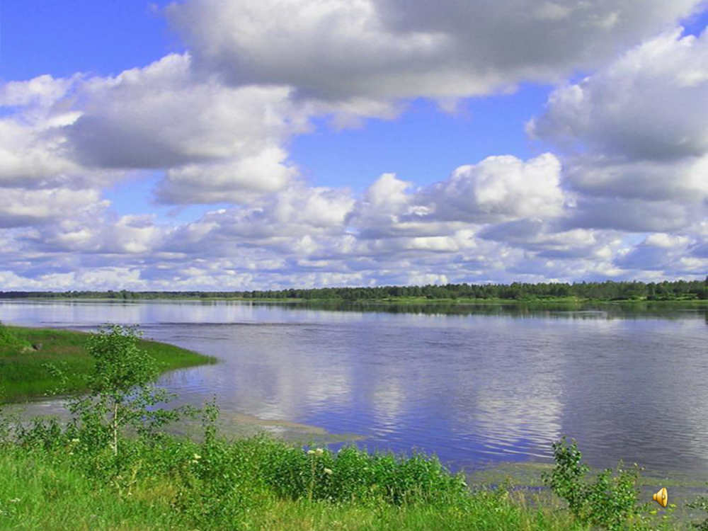 Деревня деревенька Тверская область