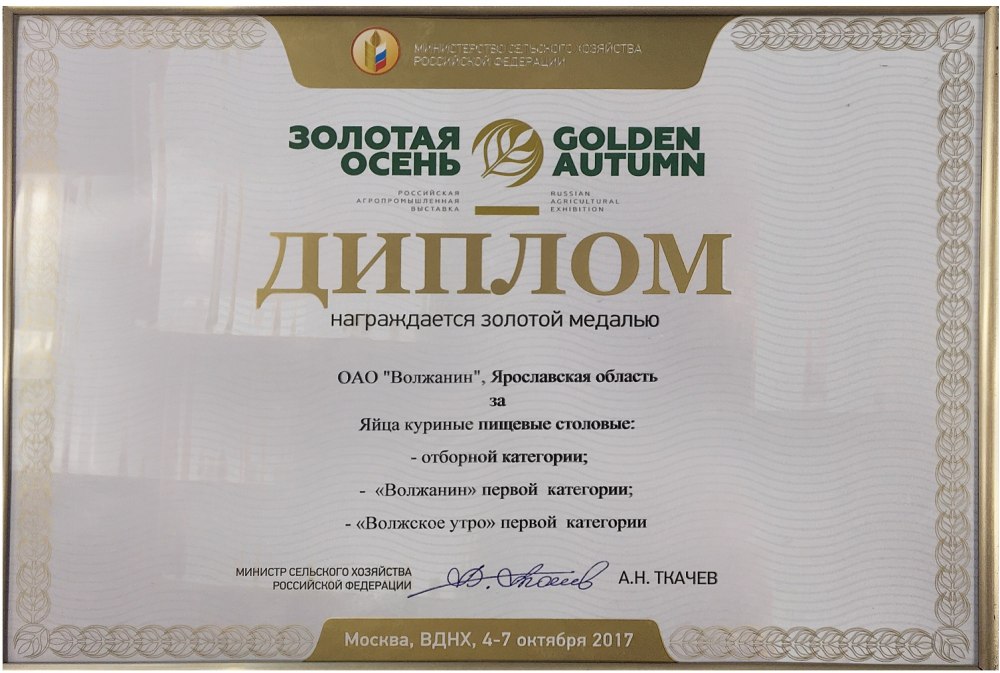 Номинации в конкурсе поделок