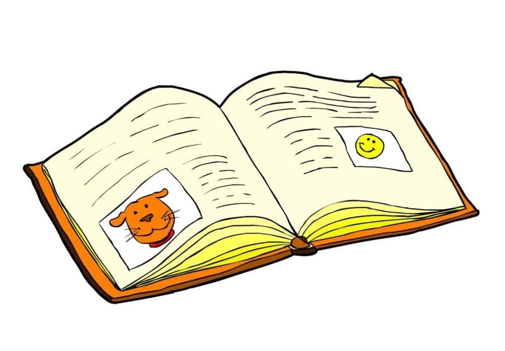 Школьные книги