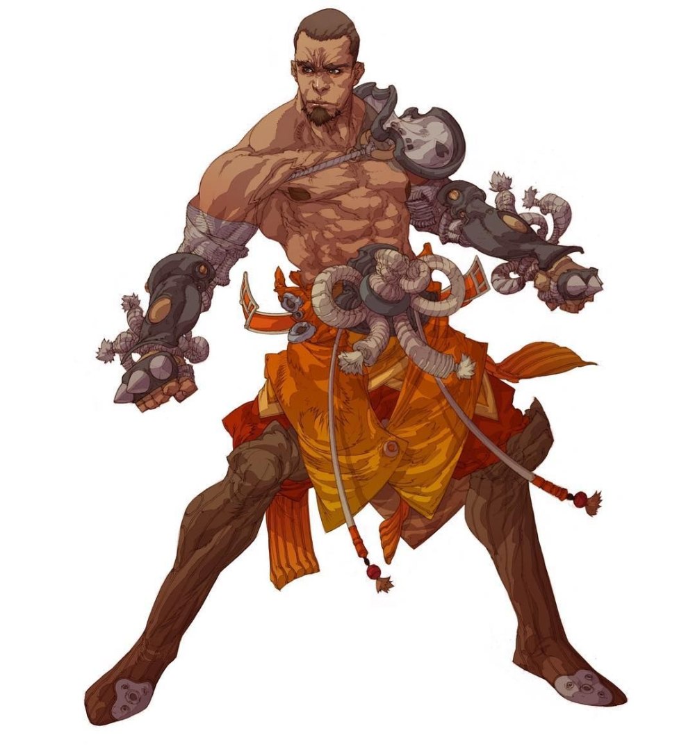 D&D Тортл монах