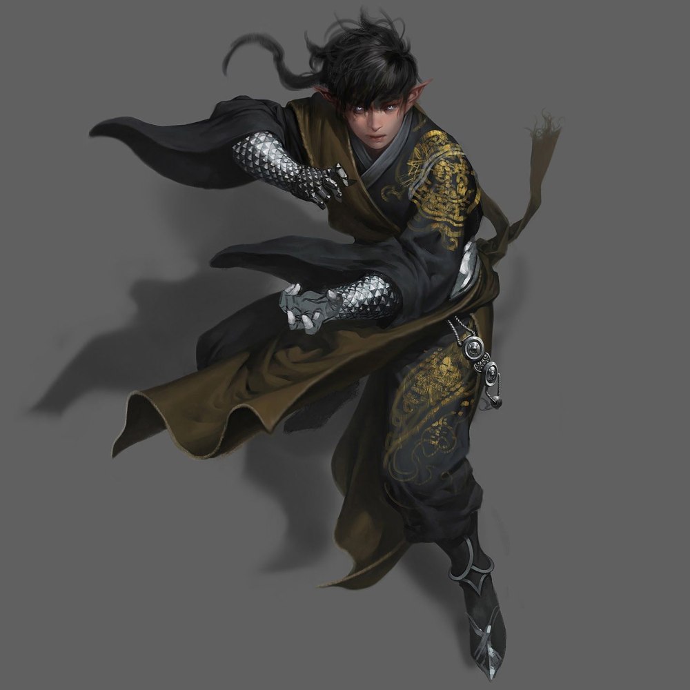 Дварф монах Pathfinder