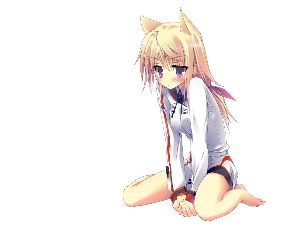 Шарлотта Дюнуа Charlotte Dunois