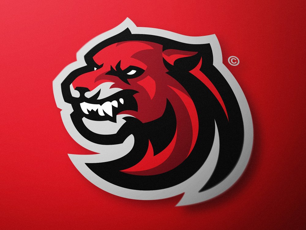 Team Elevate e8