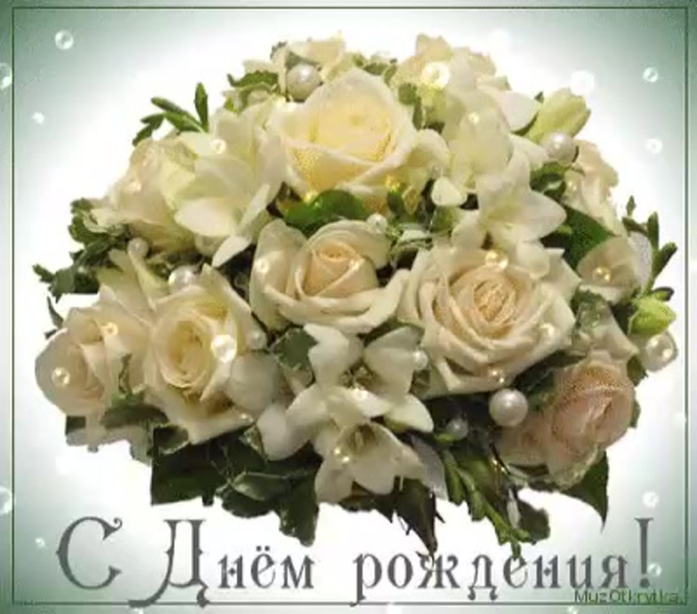 Бежевые розы на прозрачном фоне
