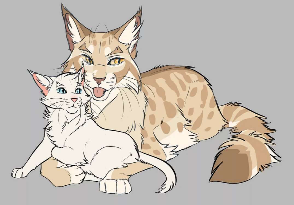 Коты Воители ежевика