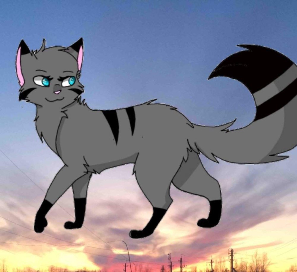 Луна из коты Воители