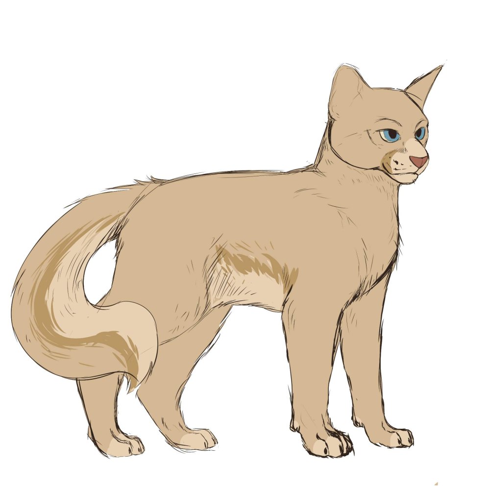Warrior Cats Lionblaze