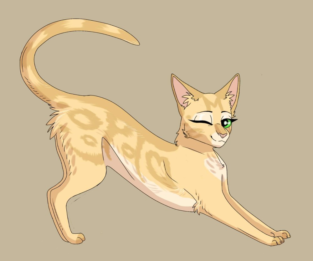 Коты Воители Лунница