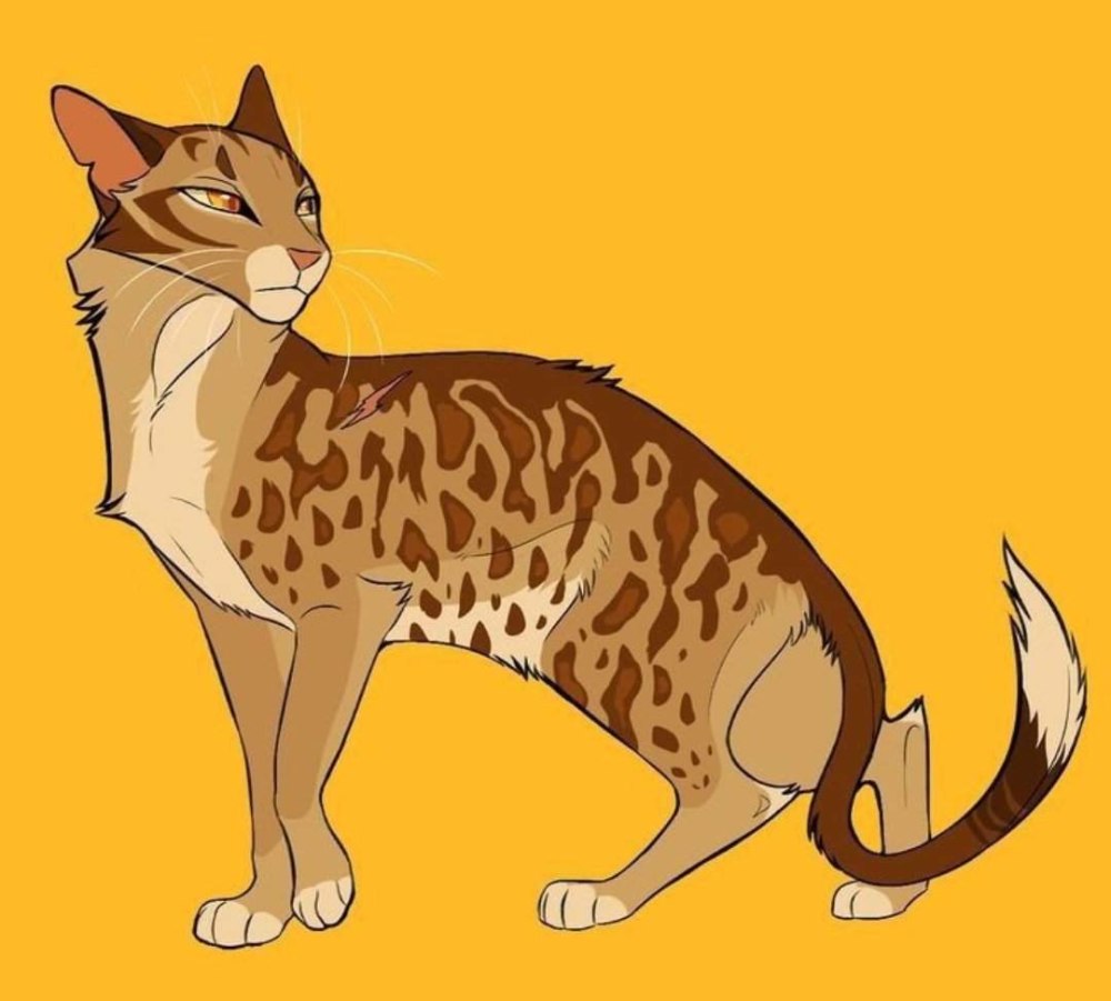 Коты Воители by songsteps