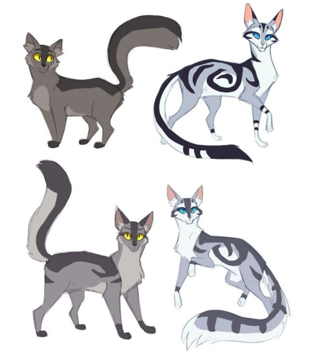 Коты Воители