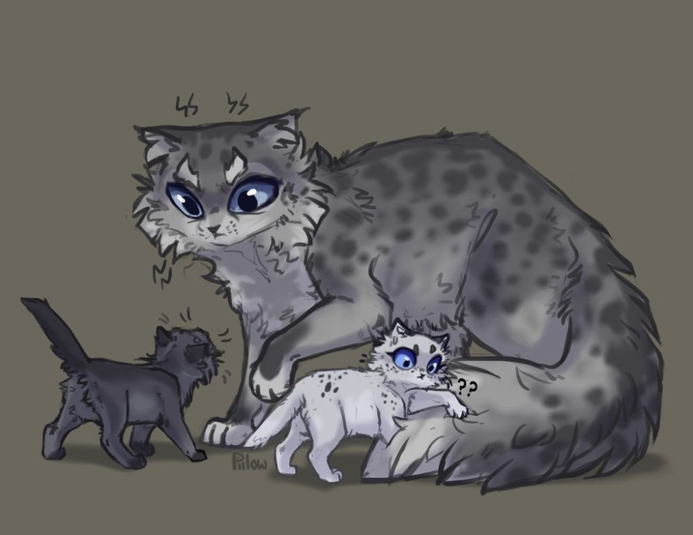 GRAYPILLOW коты Воители
