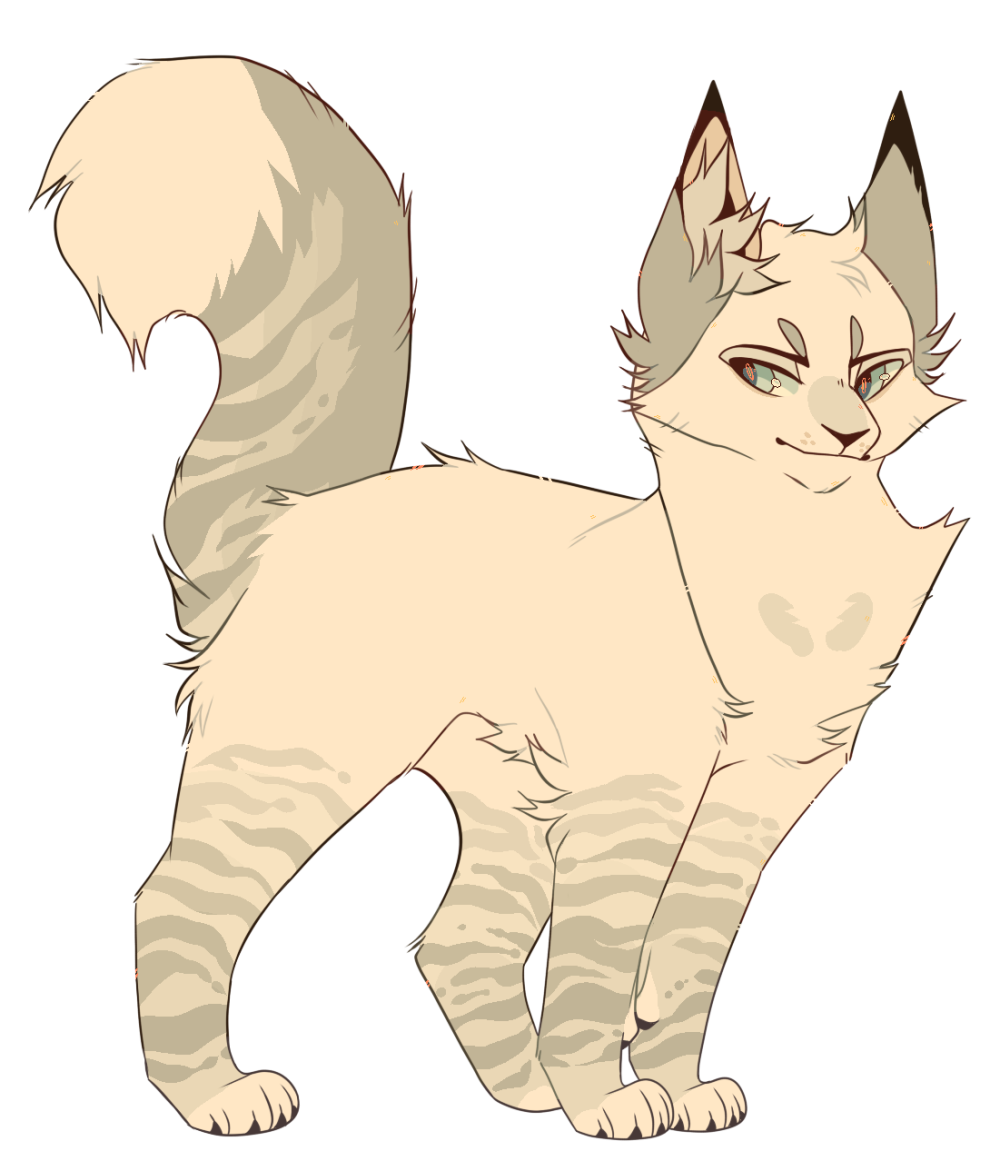 Коты Воители корнецвет