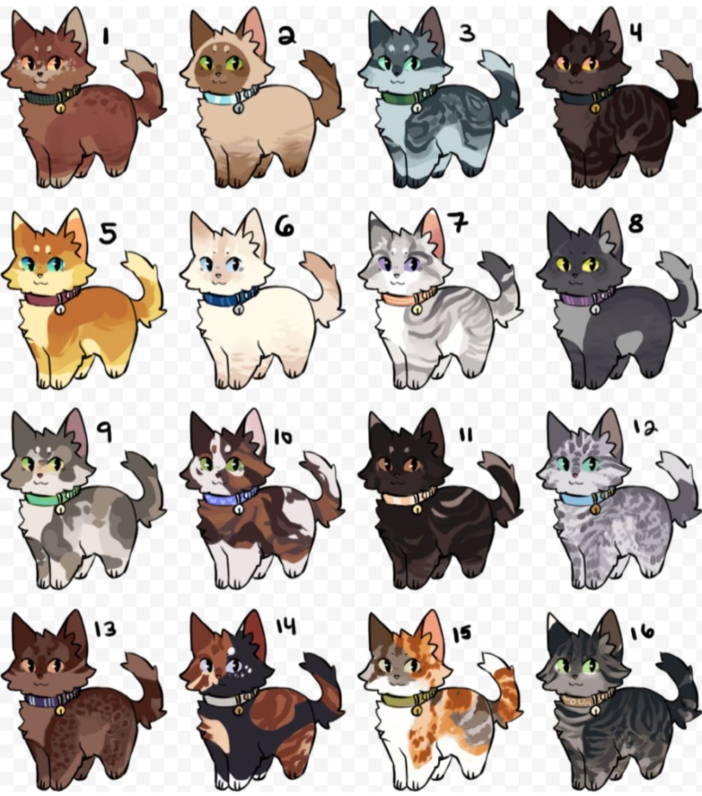 Коты Воители галечник