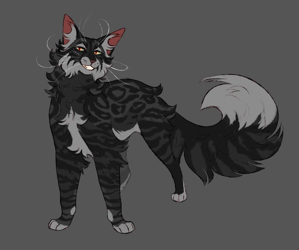Mosskit Cats Warriors