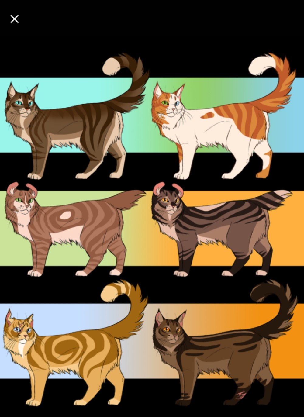 Коты Воители горностайка