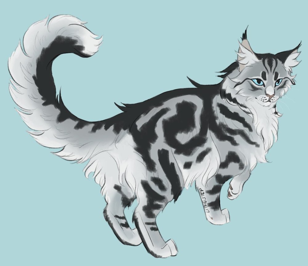 Коты Воители половинка Луны