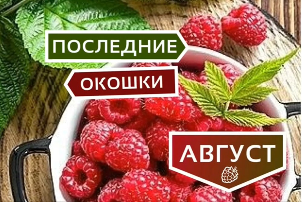 Свободные места на маникюр